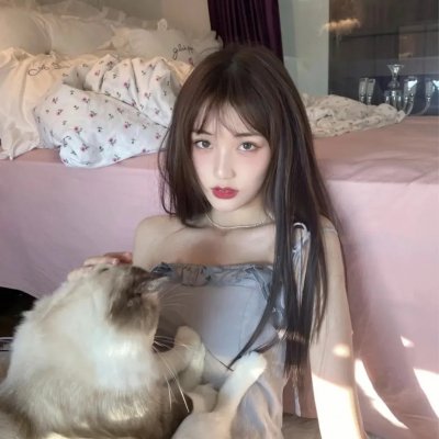 宝嘉先生
